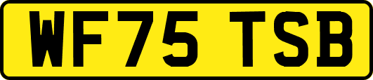WF75TSB