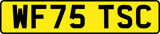 WF75TSC