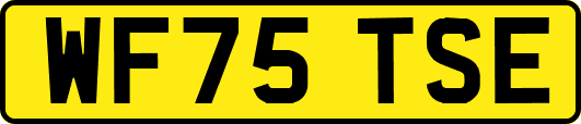 WF75TSE