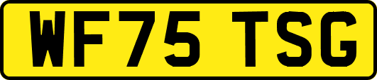 WF75TSG