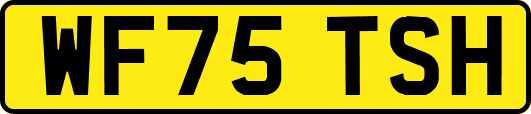 WF75TSH