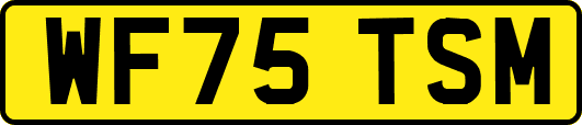 WF75TSM