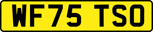 WF75TSO