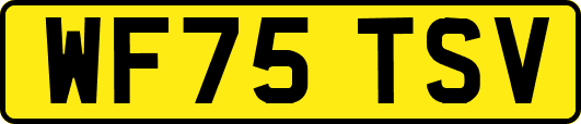 WF75TSV