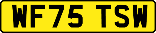 WF75TSW
