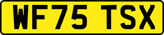 WF75TSX