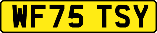 WF75TSY