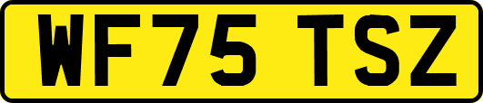 WF75TSZ