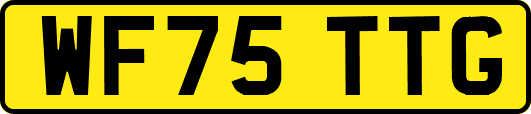 WF75TTG