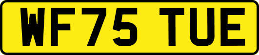 WF75TUE
