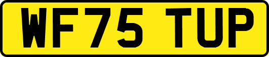 WF75TUP