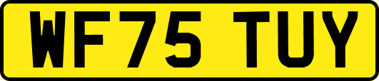 WF75TUY