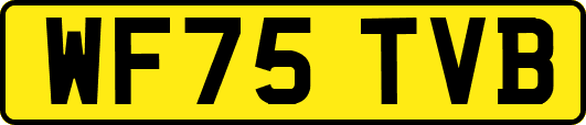 WF75TVB