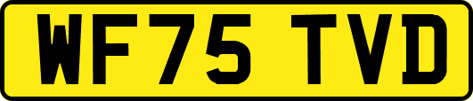 WF75TVD