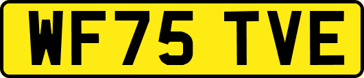 WF75TVE