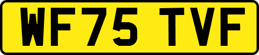 WF75TVF