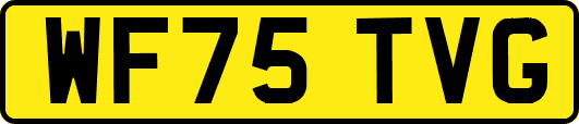 WF75TVG