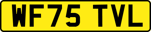 WF75TVL