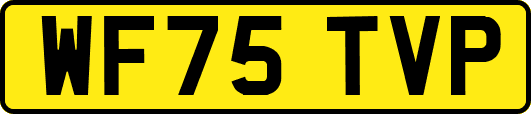WF75TVP