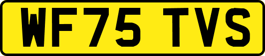 WF75TVS