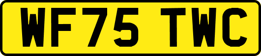 WF75TWC