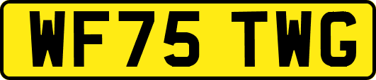 WF75TWG