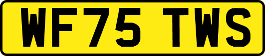 WF75TWS