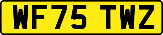 WF75TWZ