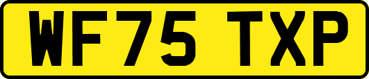 WF75TXP
