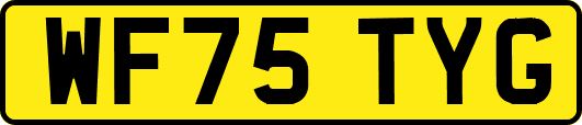 WF75TYG