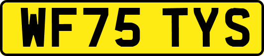 WF75TYS