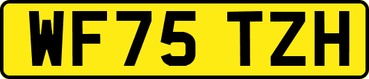 WF75TZH