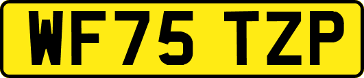 WF75TZP