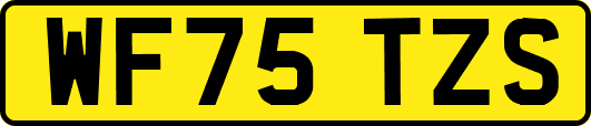 WF75TZS