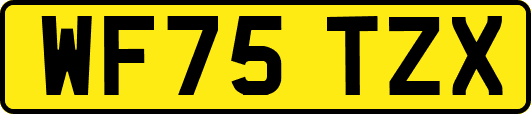 WF75TZX