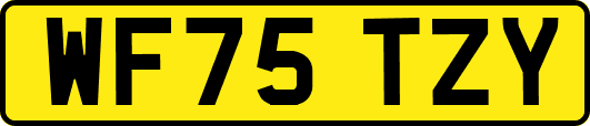 WF75TZY