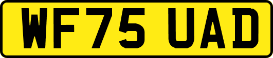 WF75UAD