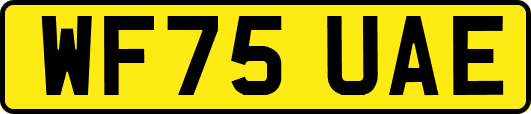 WF75UAE