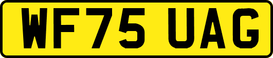 WF75UAG