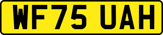 WF75UAH