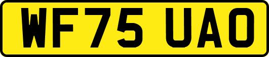 WF75UAO