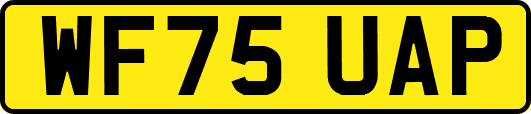 WF75UAP