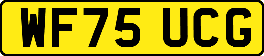 WF75UCG