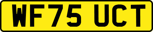 WF75UCT