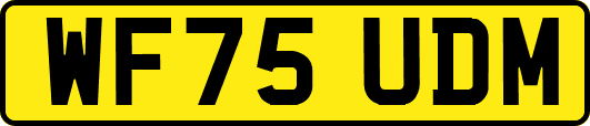 WF75UDM