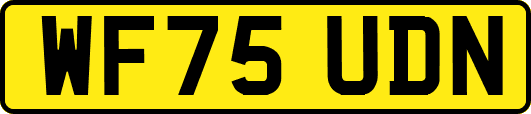 WF75UDN