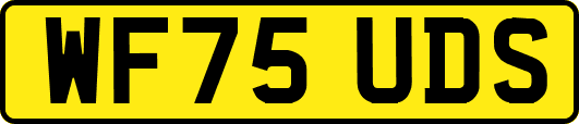 WF75UDS