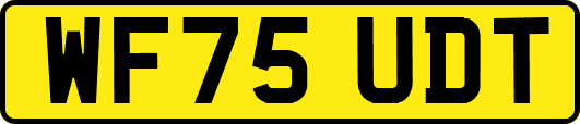 WF75UDT