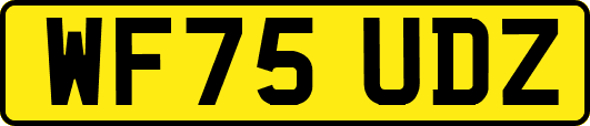 WF75UDZ