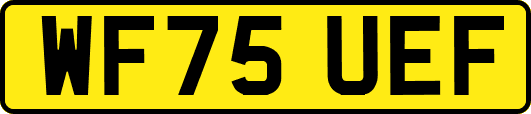 WF75UEF